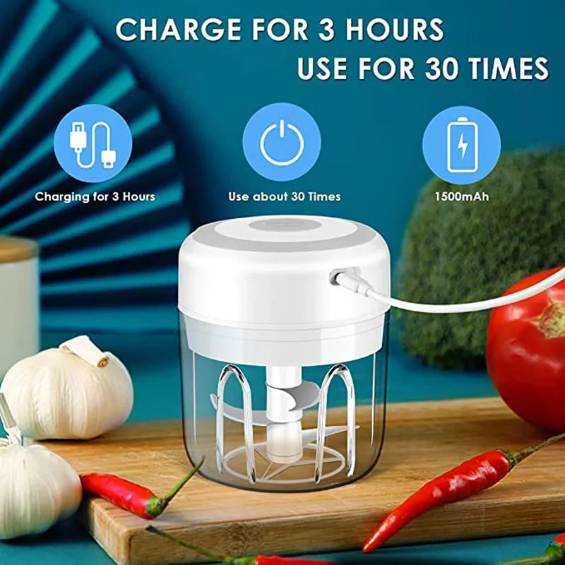 Electric Garlic Masher Mini Chopper Vegetable Chili Meat Ginger Masher