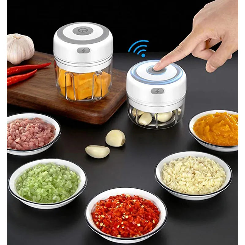 Electric Garlic Masher Mini Chopper Vegetable Chili Meat Ginger Masher
